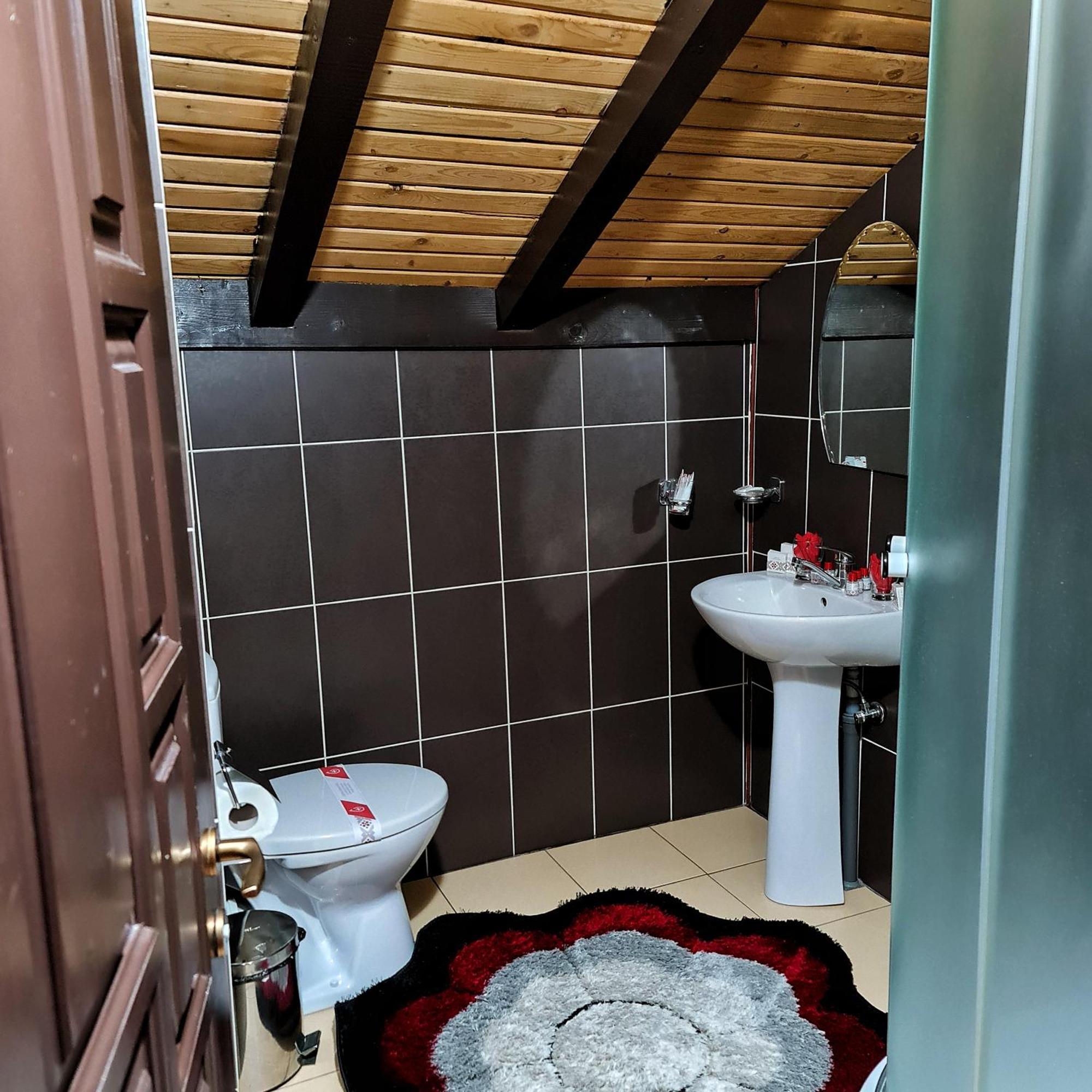 Pensiunea Agroturistica Casa Brazilor Sarisoru Mare Quarto foto