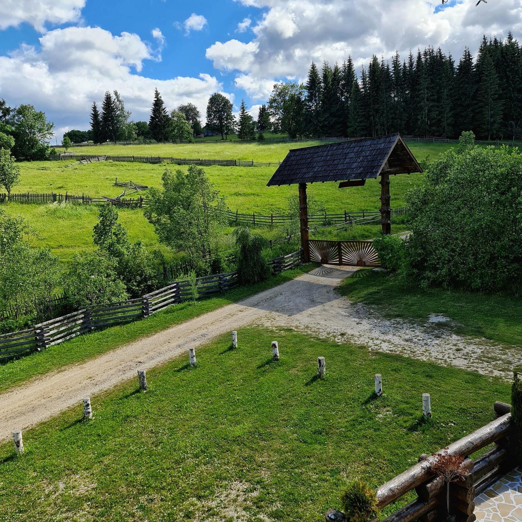 Pensiunea Agroturistica Casa Brazilor Sarisoru Mare Quarto foto
